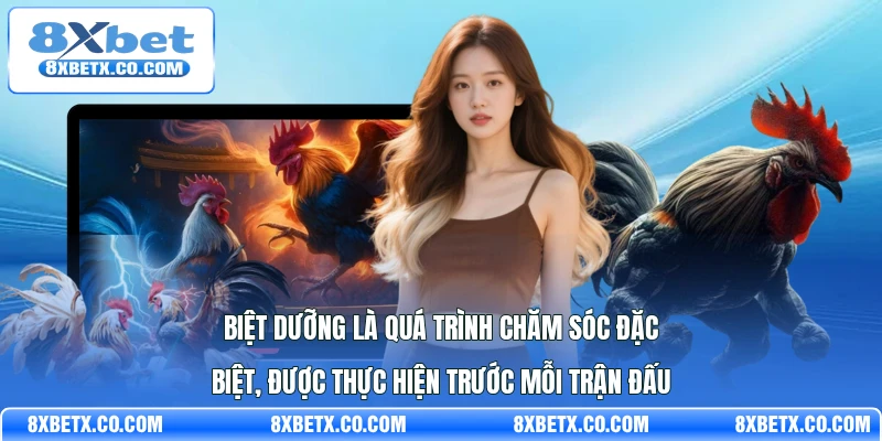 Biệt dưỡng là quá trình chăm sóc đặc biệt, được thực hiện trước mỗi trận đấu